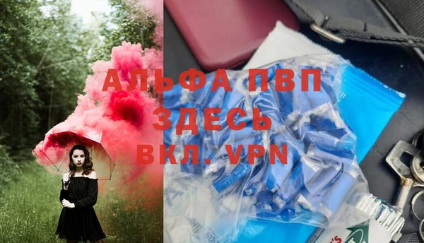 ГАЛЛЮЦИНОГЕННЫЕ ГРИБЫ Бородино