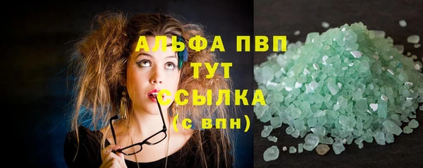 ГАЛЛЮЦИНОГЕННЫЕ ГРИБЫ Бородино