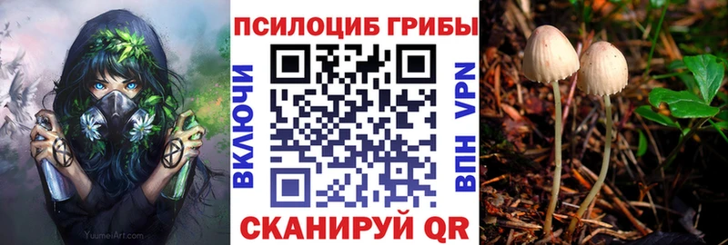 Галлюциногенные грибы мухоморы  наркотики  Крым 